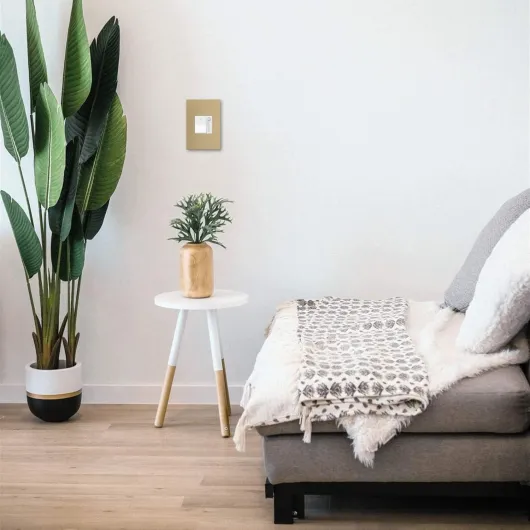 71KgAX-yMkL._AC_SL1500_