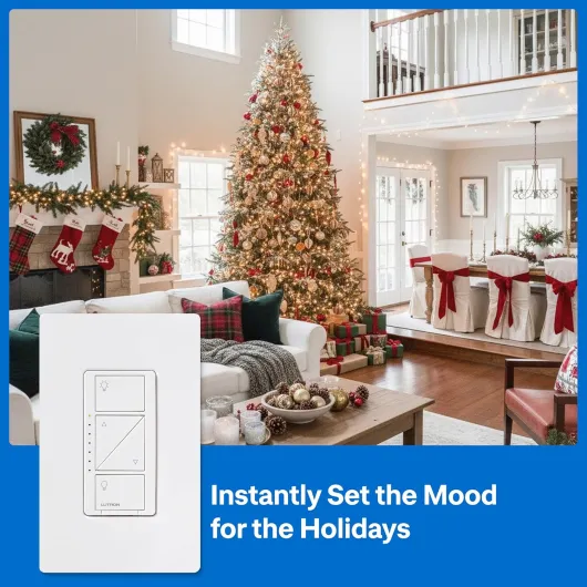 81x5vuSn7NL._SL1500_