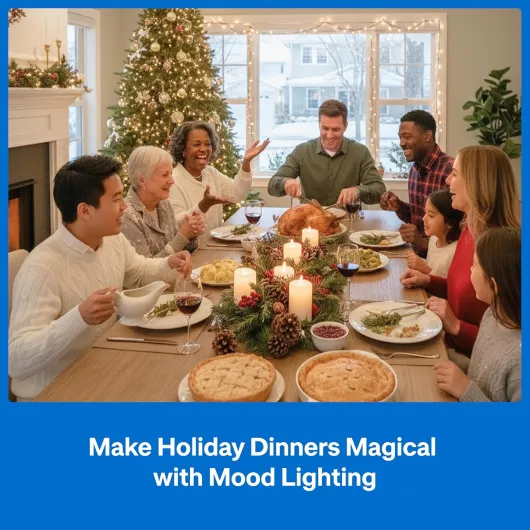 81Wqg0LXZLL._SL1500_