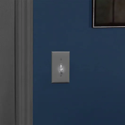 41civP ErVS._AC_SL1000_