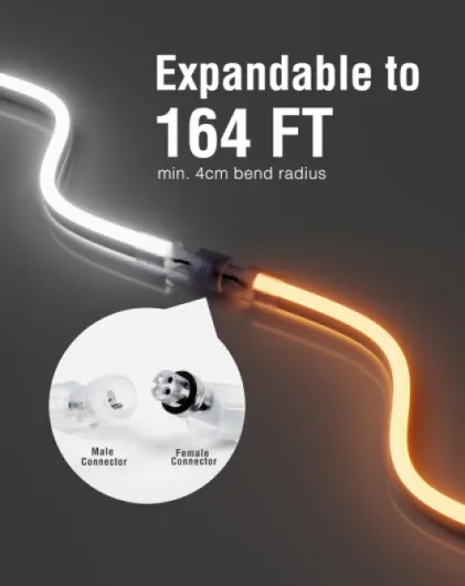 61Wx2HsM3YL._AC_SL1500_