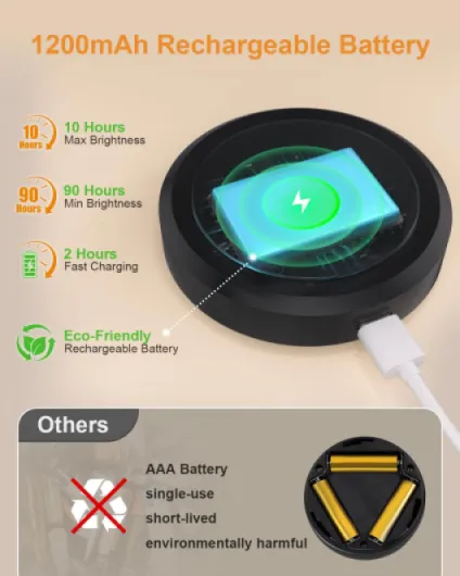 61Zo78qZjiL._AC_SL1500_