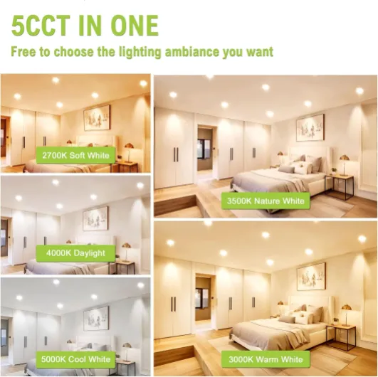 81xTXTFTNJL._AC_SL1500_