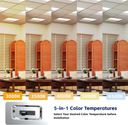 71yUrokl-CL._AC_SL1500_