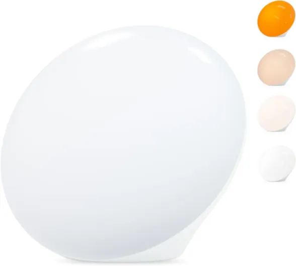 Sun Lamp, 10,000 Lux Sunlight Lamp with 4 Color Temperatures & 5 Brightness & 1H Timer, Touch Control Daylight Lamp with Memory Function for Home A-White