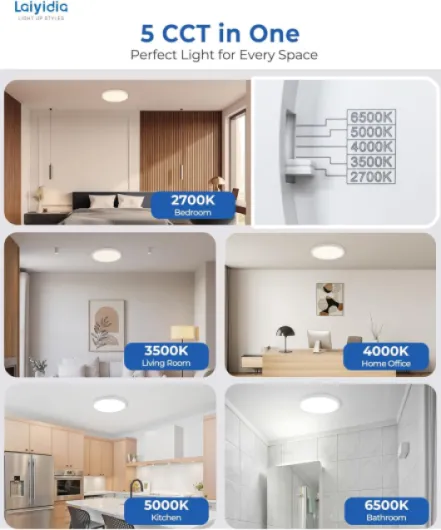 71bp1mCwvdL._AC_SL1500_