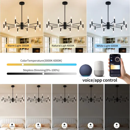 816X 1j3tZL._AC_SL1500_