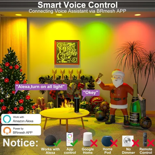 81kX5DMU44L._AC_SL1500_