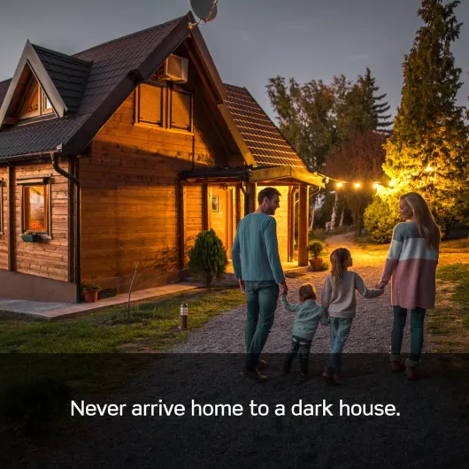 71H7W34YzML._SL1000_