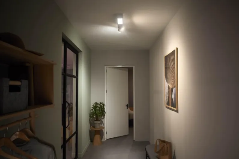 61ifmEZwKKL._AC_SL1500_