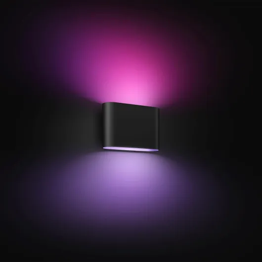 Dymera Smart Indoor and Outdoor Wall Light - Two Individually Controllable Beams of Light - Secure Connection, Control from Anywhere - 16 Million Colors - Outdoor Use Requires Hue Bridge Dymera 1 Pack
