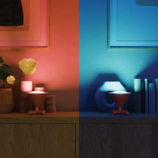 71Jw0b3O7wL._AC_SL1500_