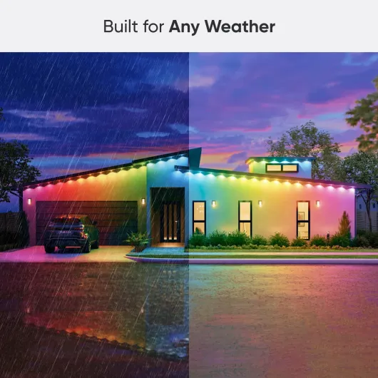 71LUyxJqhpL._AC_SL1500_