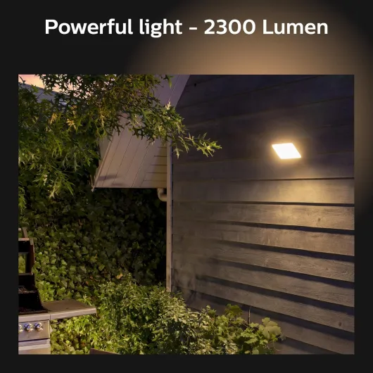 81HD3N2w5KL._AC_SL1500_